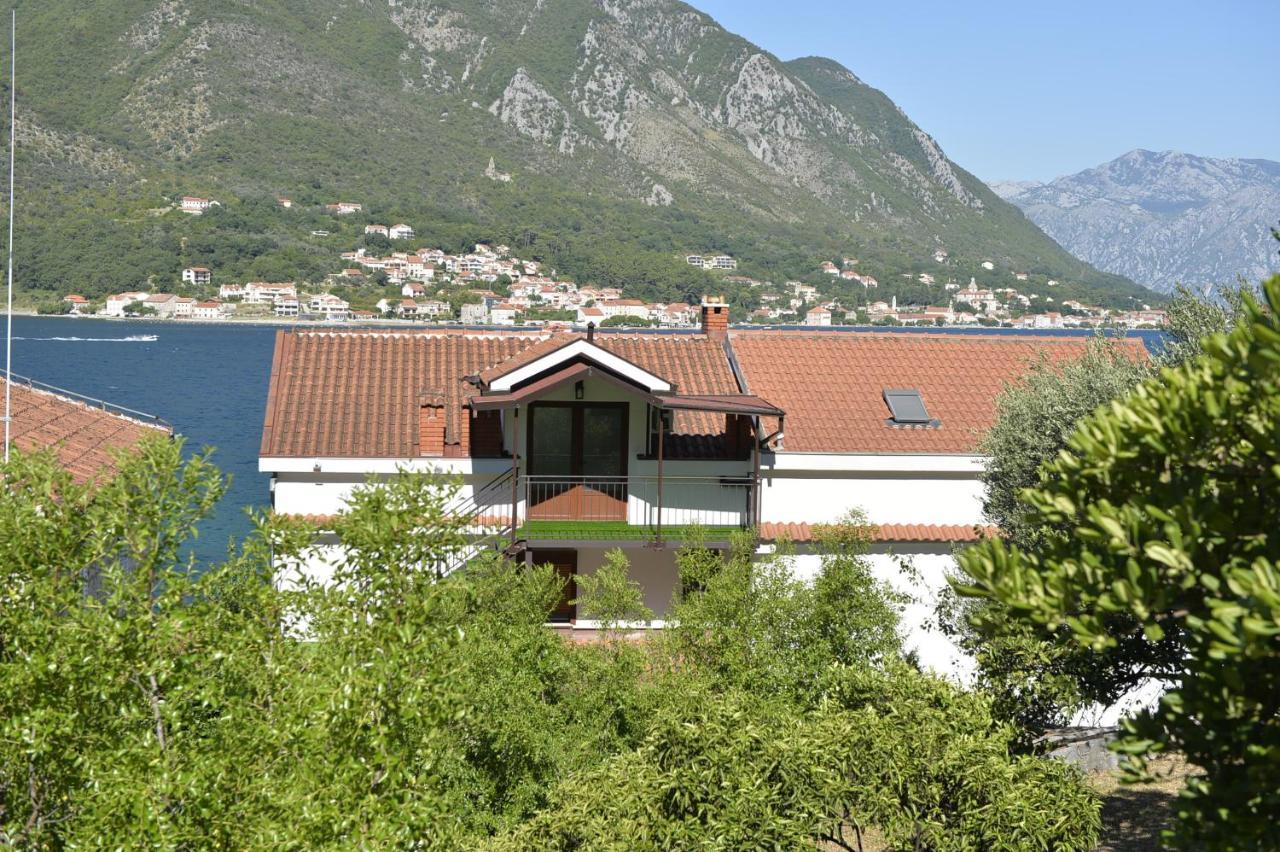 Viva Apartment Kotor Exterior photo